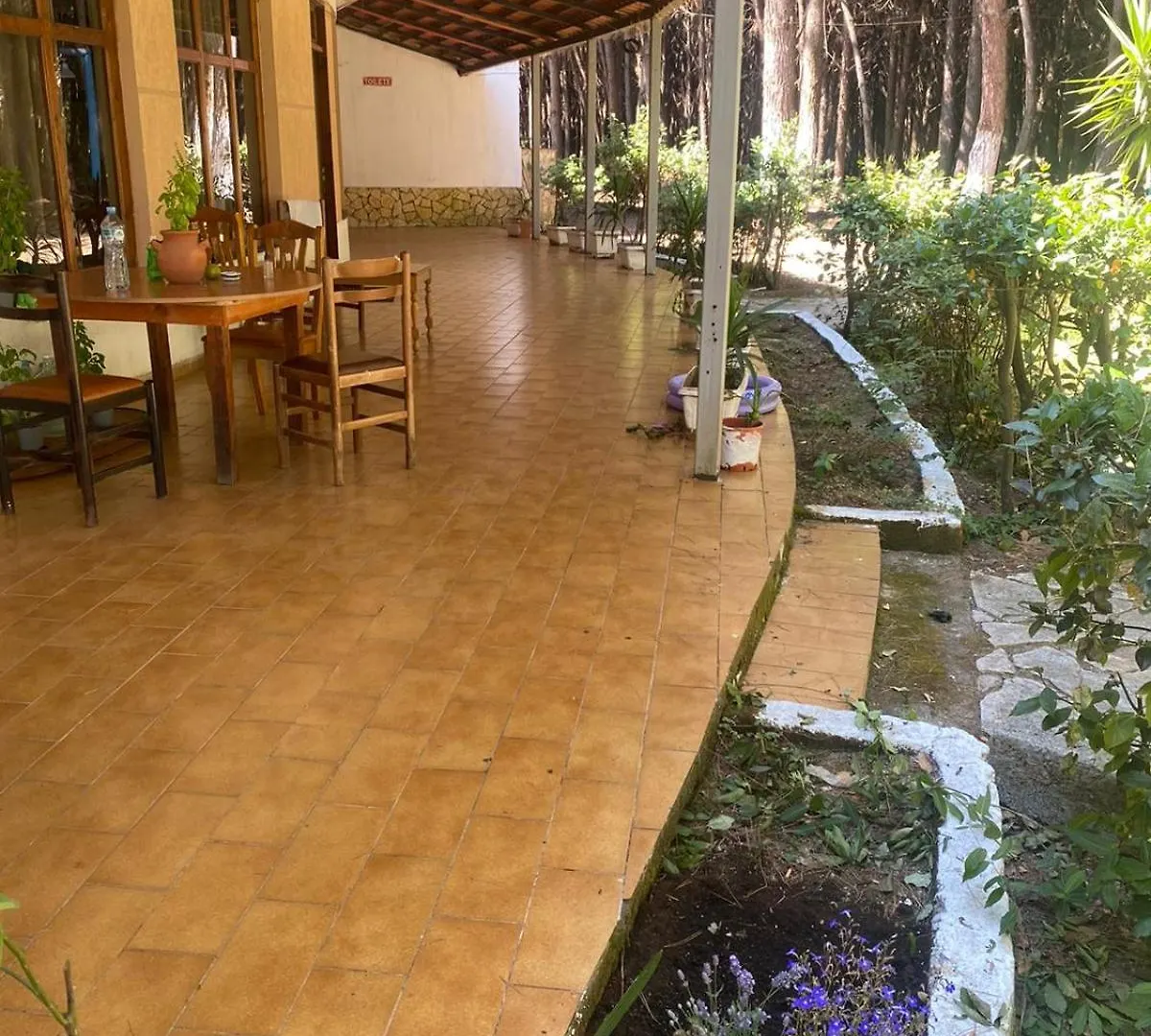 بيت شباب Pikihostseaside Qerret  Qerret (Tirana)